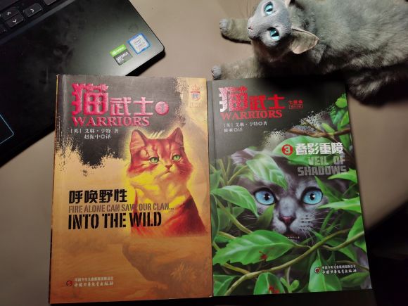 桿߲ǰ漰廭-1.jpg