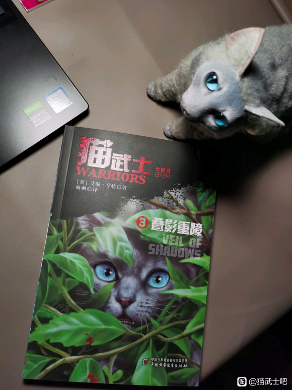 桿߲ǰ漰廭-3.jpg