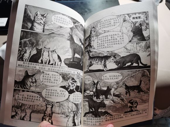 桿߲ǰ漰廭-2.jpg