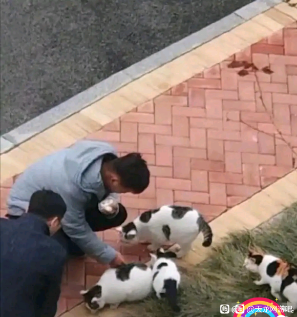 ԪƷСô,-3.jpg