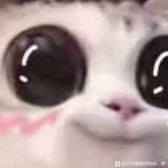 廭СޱϰĲ廭רҵѧѧ?-2.jpg