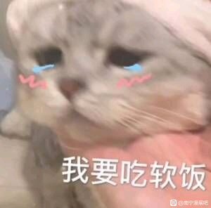 չ¼ҹڤ ӺӺù-1.jpg