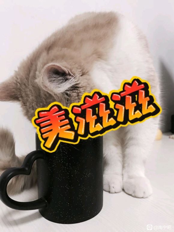ضƷȺ,ϻ˵,ҪȺ-2.jpg