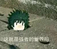 廭ɫɨСultraɰ-1.jpg