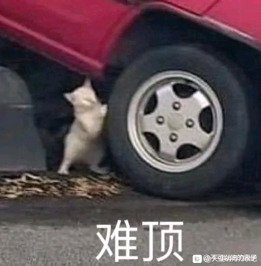 ˺Ķ-1.jpg