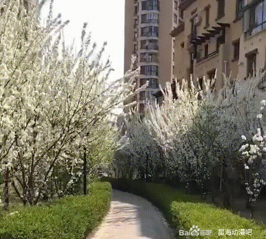 ,ůĲ廭̵̳-3.jpg