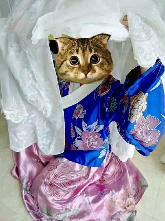 󻻡󻻻Ʒ,ʵ̫Բ-2.jpg