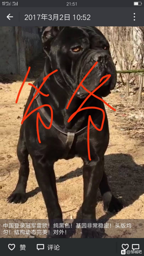 ظ:޳ǰƷר-2.jpg