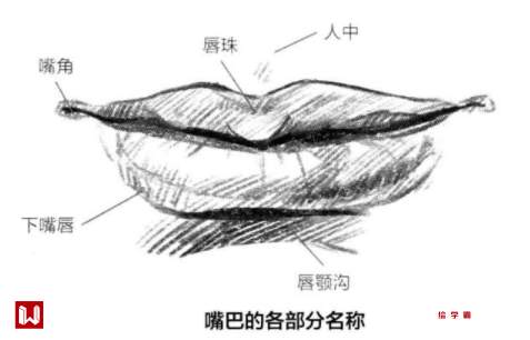 廭ô?-1.jpg
