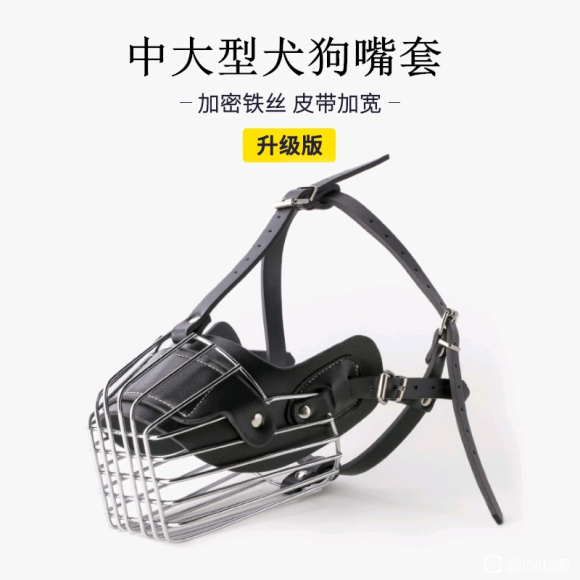 ҵչ-2.jpg
