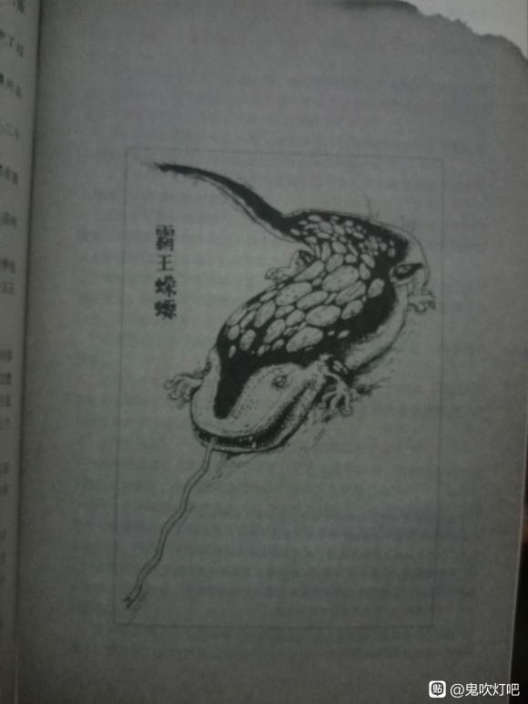 Ϊʲôܳһ廭趨?-5.jpg