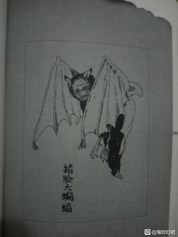 Ϊʲôܳһ廭趨?-7.jpg