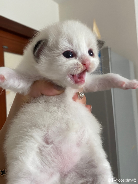 COSƬż ԤͷԵ-2.jpg