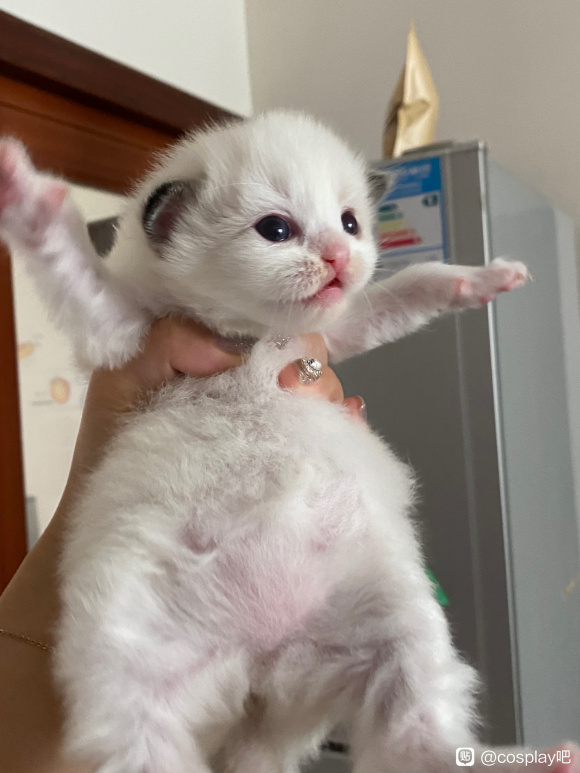 COSƬż ԤͷԵ-1.jpg