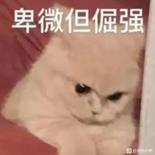Ǻ/һЩƬҪèղ廭һȫ-1.jpg