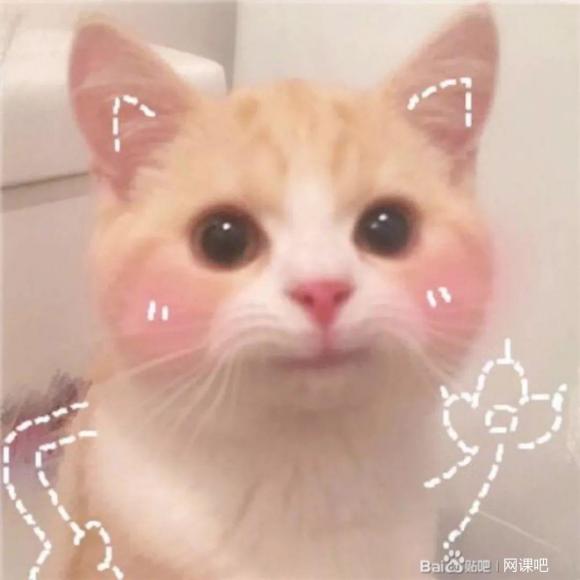 tiyeѼѼipad廭-1.jpg