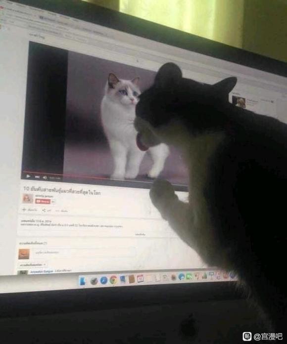 ÿιչ-1.jpg