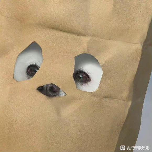 һȥ2ߵС,&amp;amp;#xF605;عԪ֮ǰ,ȥչ-1.jpg