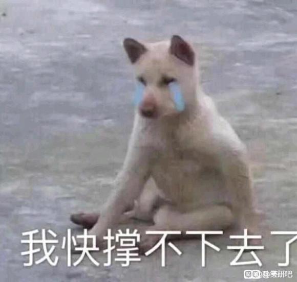 &amp;amp;#xF474;μӵչ?-4.jpg