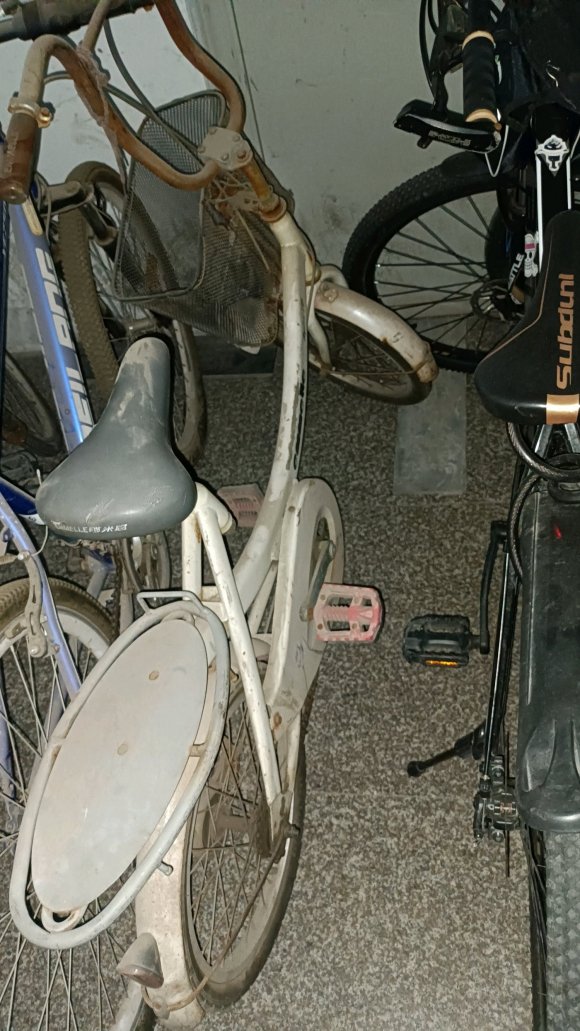 ǨɶƷר(202111-12)-4.jpg