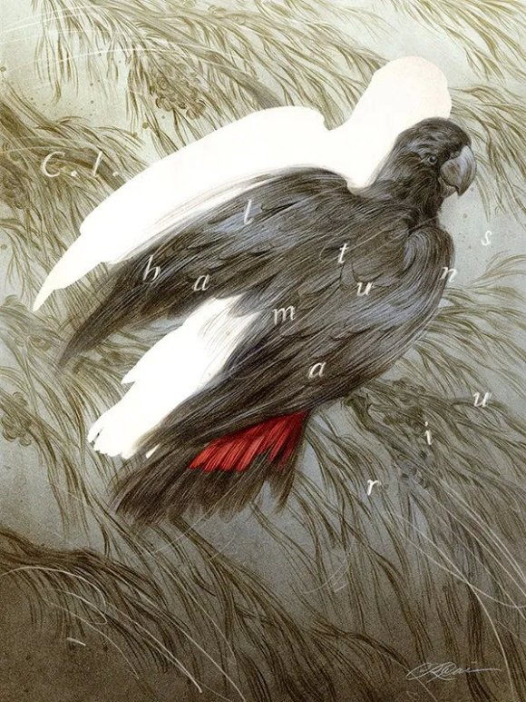 廭ʦ Rovina Cai-3.jpg