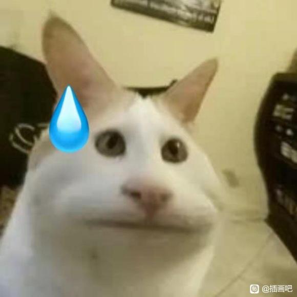  廭ʲô-1.jpg