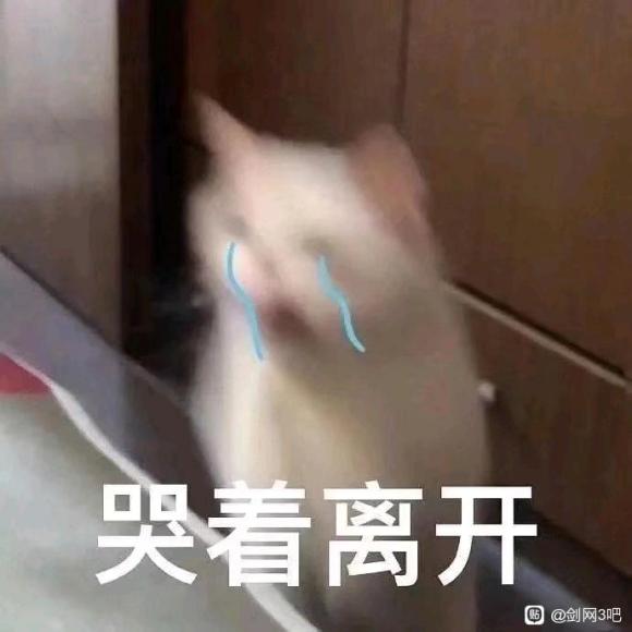 ɽʲôʱҳƷ-1.jpg