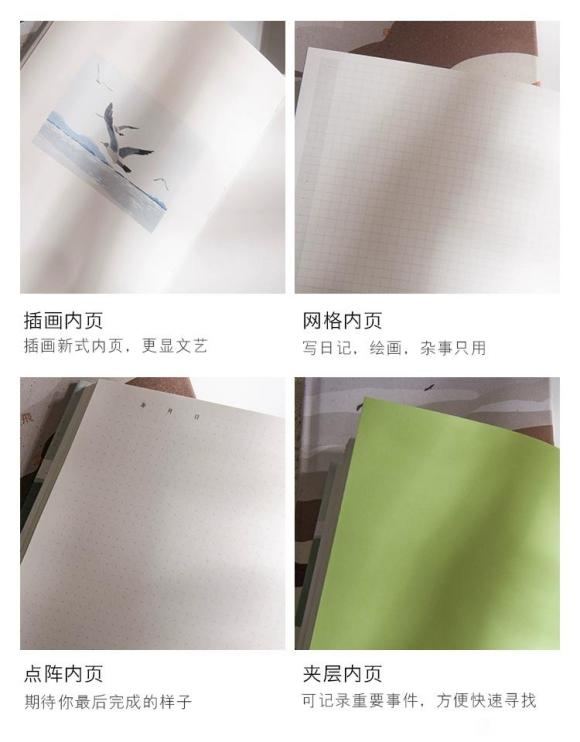 ̼ͷղ廭˱-6.jpg