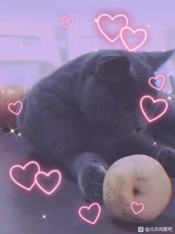 ͳƷȺ-3.jpg