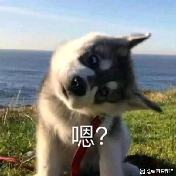 ٶ ɶipad廭γ coooo֥ʿip-2.jpg