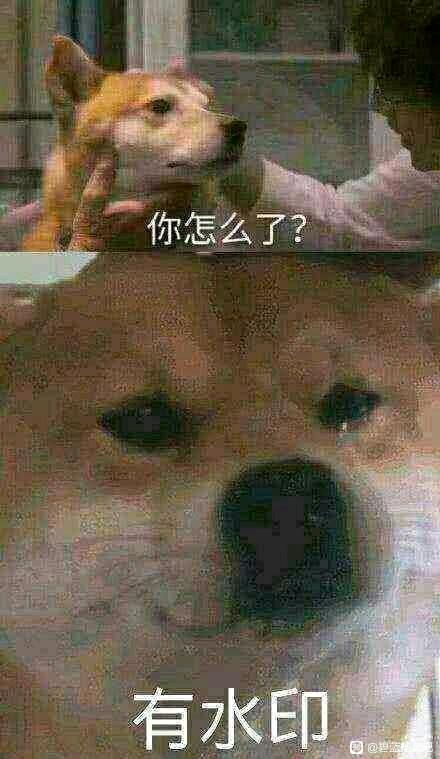ӵֻֽ-1.jpg
