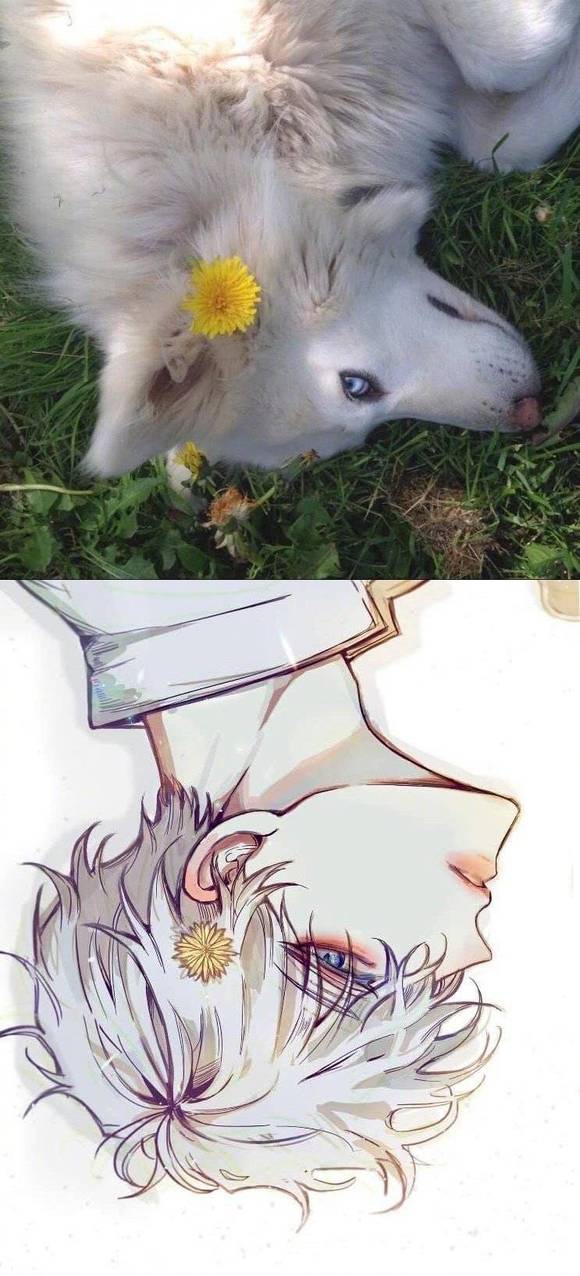 û˧ֽ-1.jpg