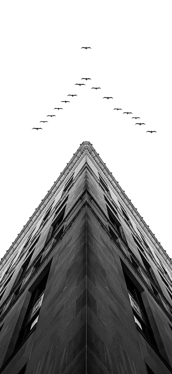 ֽ|ǿ8-6.jpg