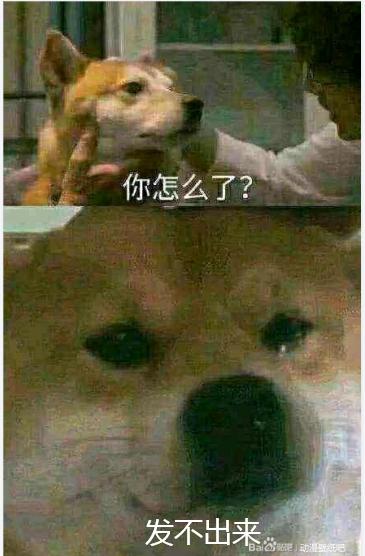 ?λpվspٽÿıֽ-2.jpg