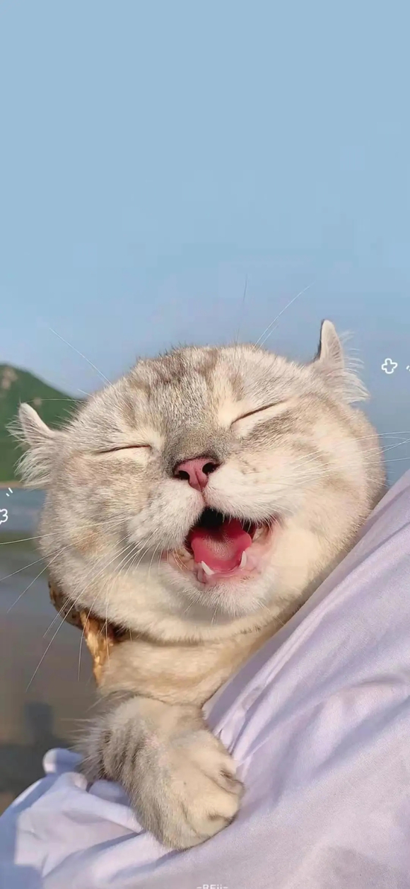 ***ıֽղ(ԭͼˮӡ)| ڶ-5.jpg