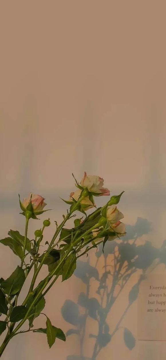 ***ıֽղ(ԭͼˮӡ)| ڶ-8.jpg