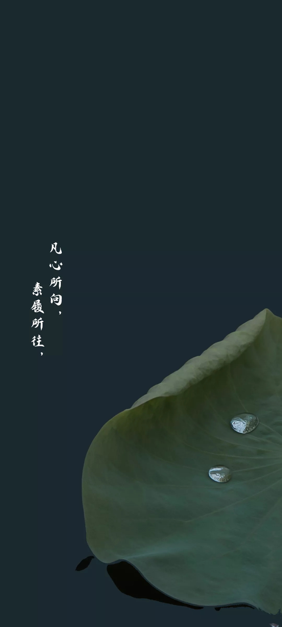 ***ıֽղ(ԭͼˮӡ)| ڶ-3.jpg