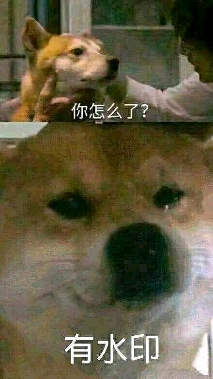 λϸûʲôÿıֽ,Ƽһ-1.jpg