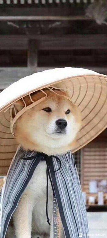 ÿ˷һſԵֽͼƬ-2.jpg