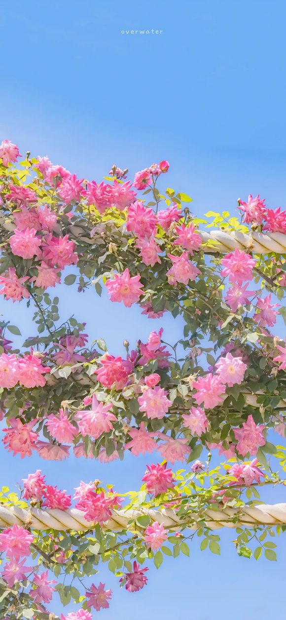 ֽ|ʻؼ  10-2.jpg
