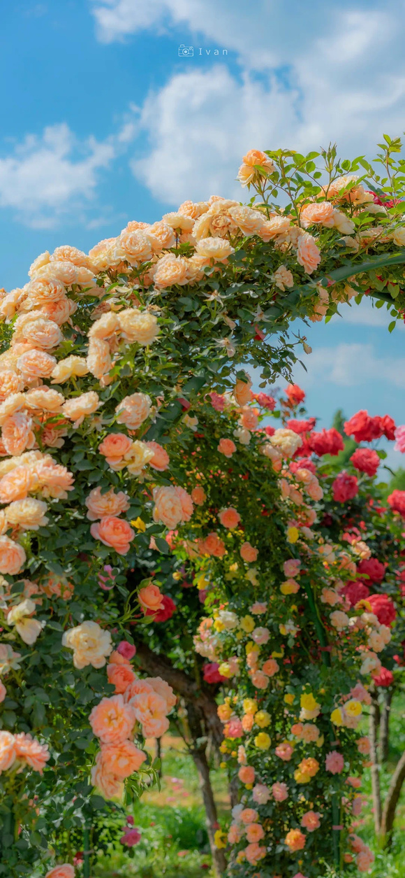 ֽ|ʻؼ  10-5.jpg
