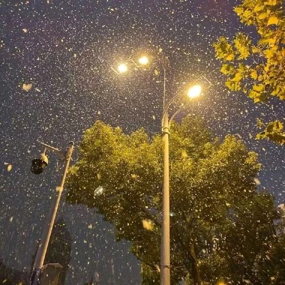 Ƽֽ-7.jpg