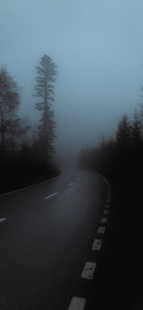 õıֽ-1.jpg
