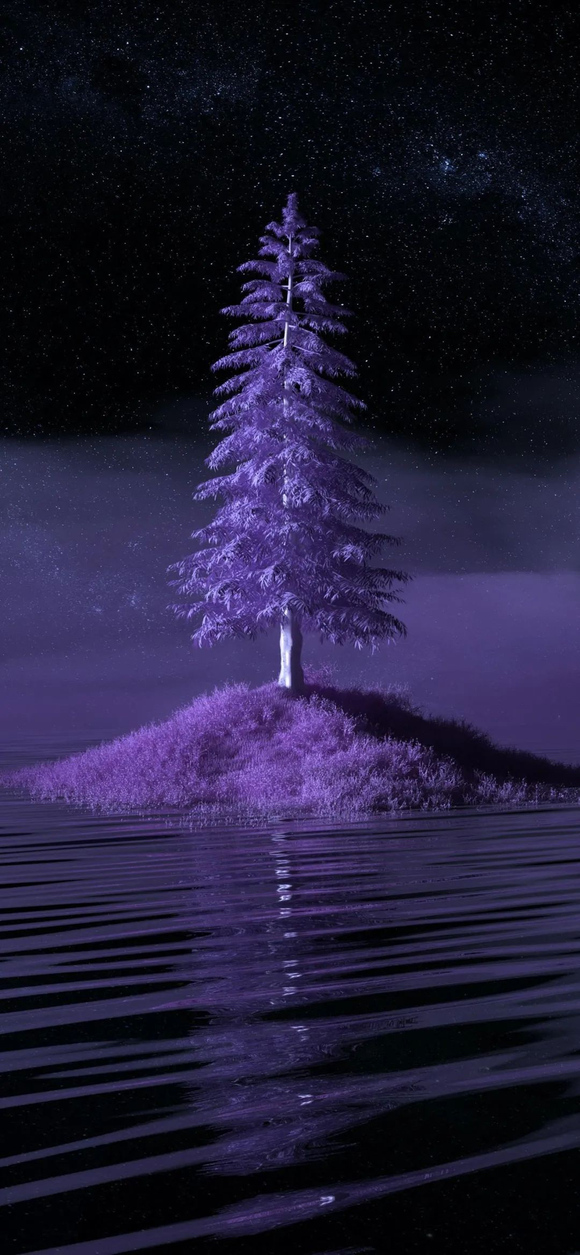 õıֽ-1.jpg