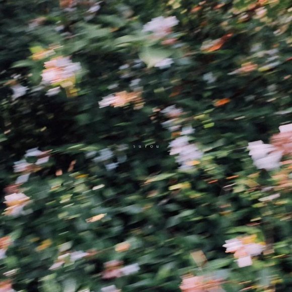 ͼֽͼڸ-6.jpg