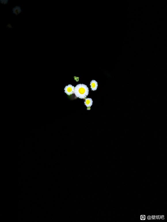 ƷiOSֽ-3.jpg