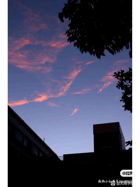 ѡͼƬֽ-7.jpg