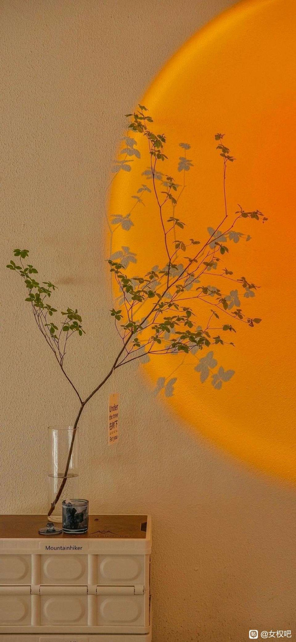 ܵıֽɰ,ֽ,λ-9.jpg