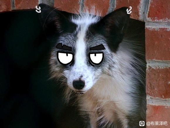˱ֽ-1.jpg