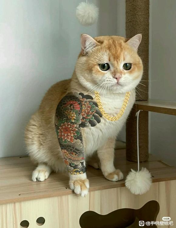 ϻֻֽ-1.jpg